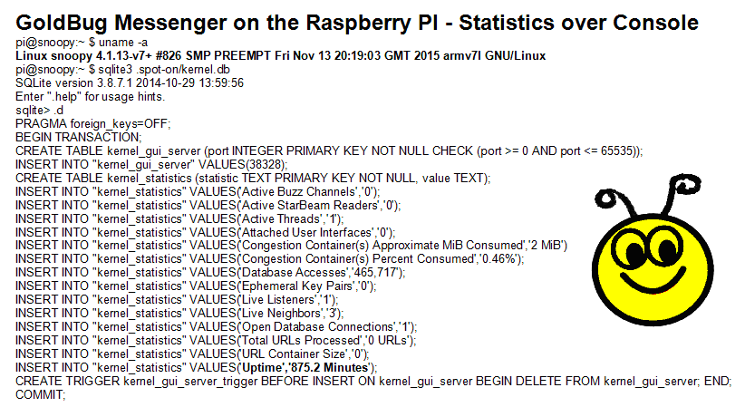 Abbildung: Statistik Konsole auf einem Raspberry Pi
